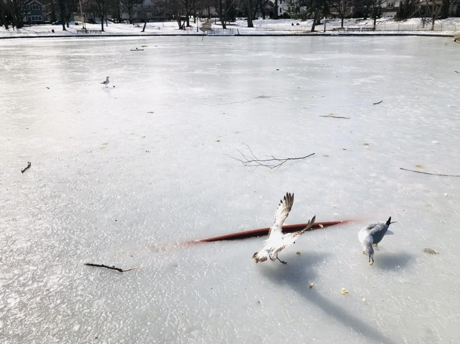 IMG_3203.jpg?type=w966