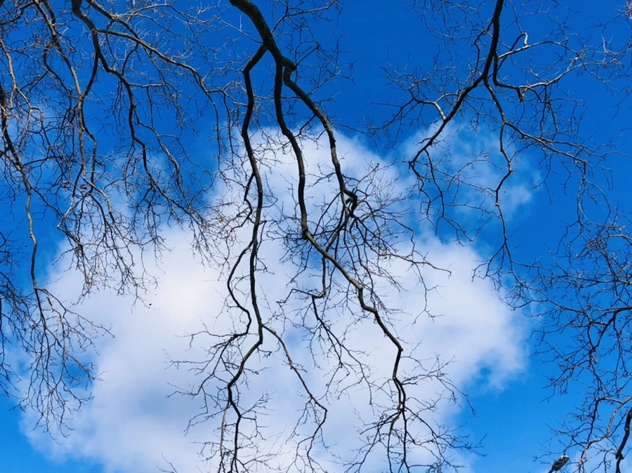 IMG_7560.jpg?type=w966