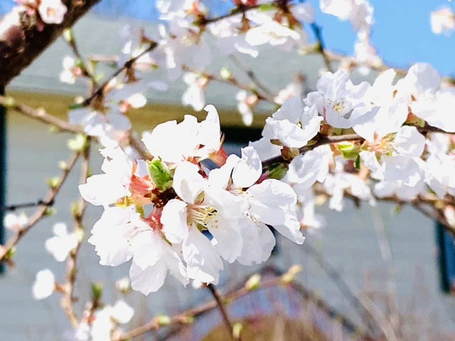 IMG_7649.jpg?type=w966