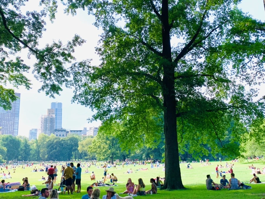 IMG_0672.jpg?type=w966