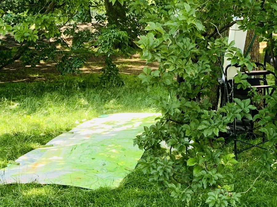 IMG_4973.jpg?type=w966