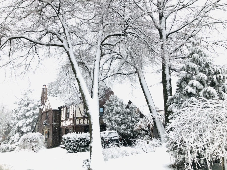 IMG_1006.jpg?type=w966