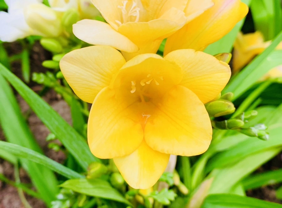 IMG_8930.jpg?type=w966