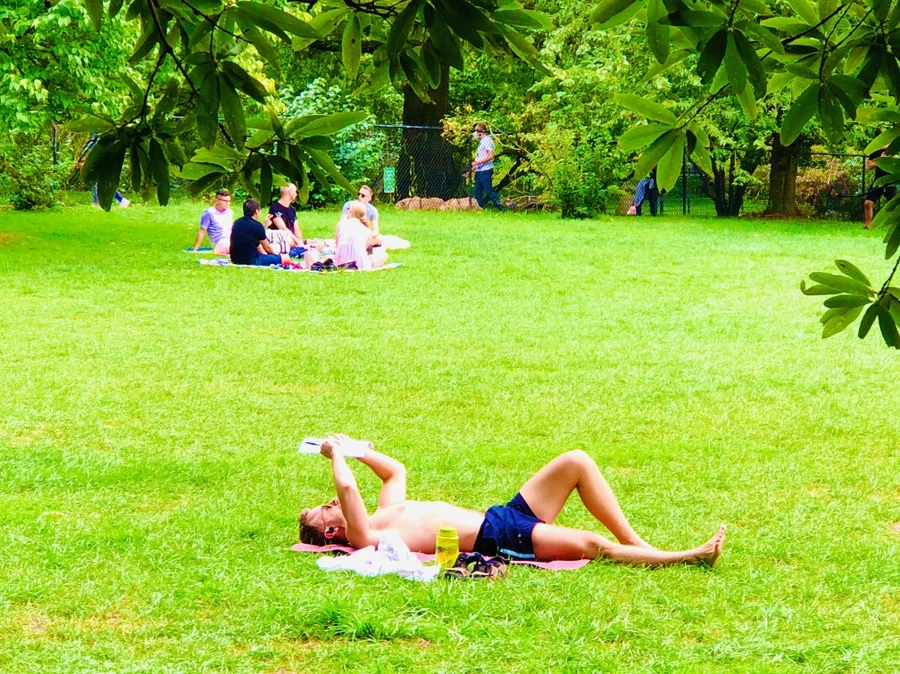 IMG_0063.jpg?type=w966