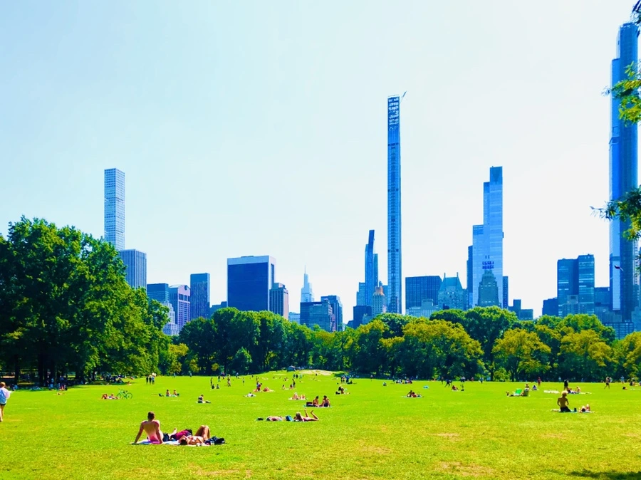 IMG_9347.jpg?type=w966