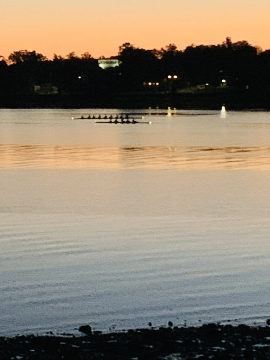 IMG_8465.jpg?type=w966