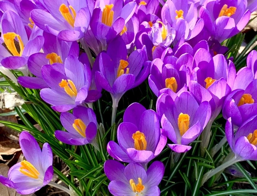 IMG_0139.jpg?type=w966