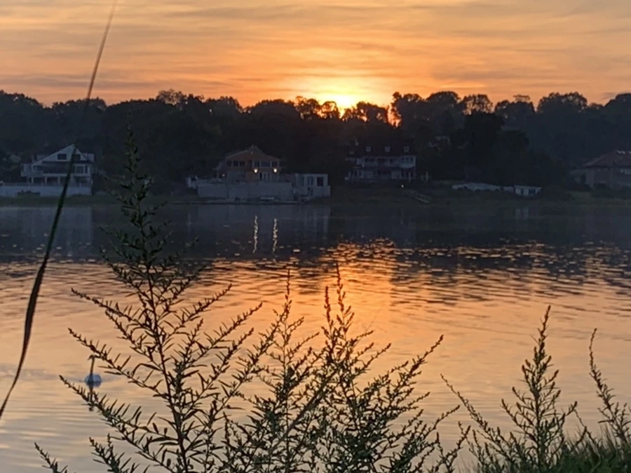 IMG_6817.jpg?type=w966