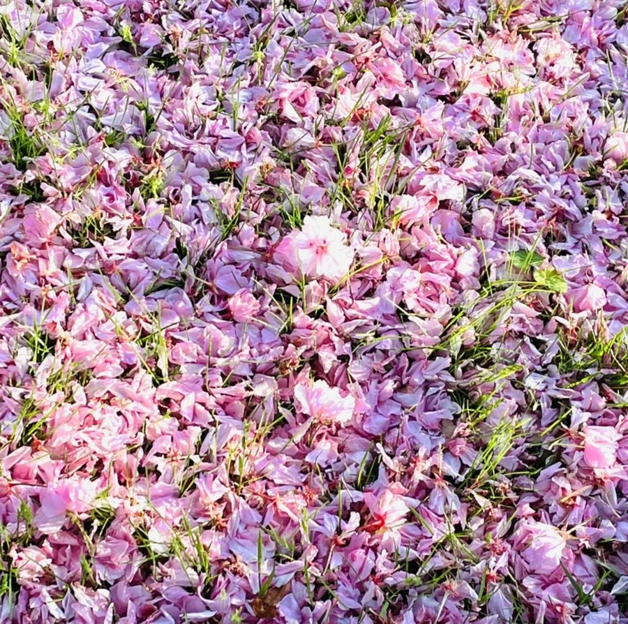 IMG_5898.jpg?type=w966