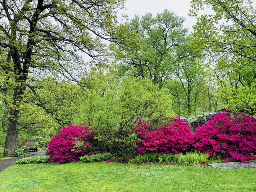 IMG_9913.jpg?type=w966