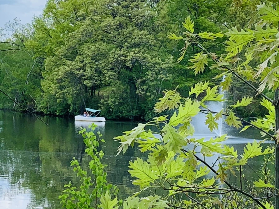 IMG_2433.jpg?type=w966