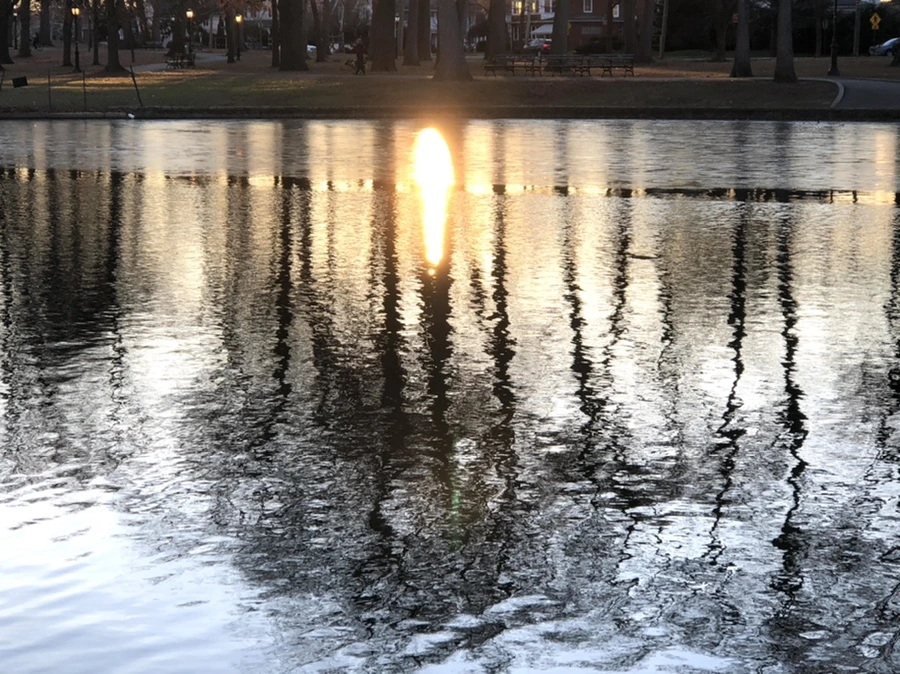 IMG_0763.jpg?type=w966