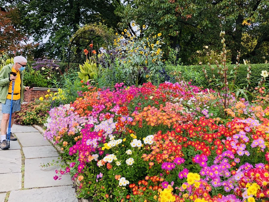 IMG_2515.jpg?type=w966