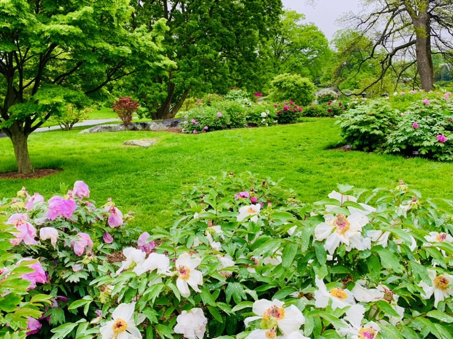 IMG_9980.jpg?type=w966