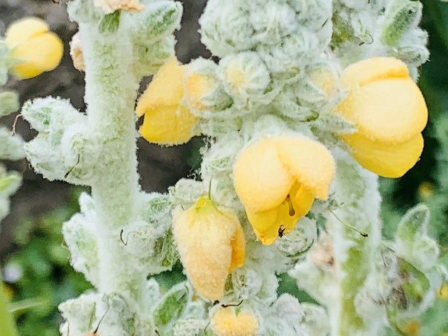 IMG_9476.jpg?type=w966