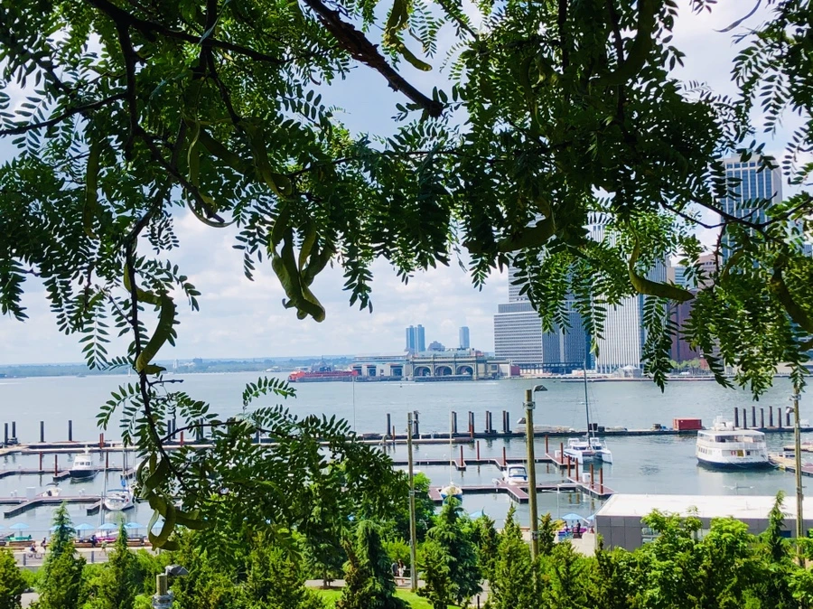 IMG_6219.jpg?type=w966