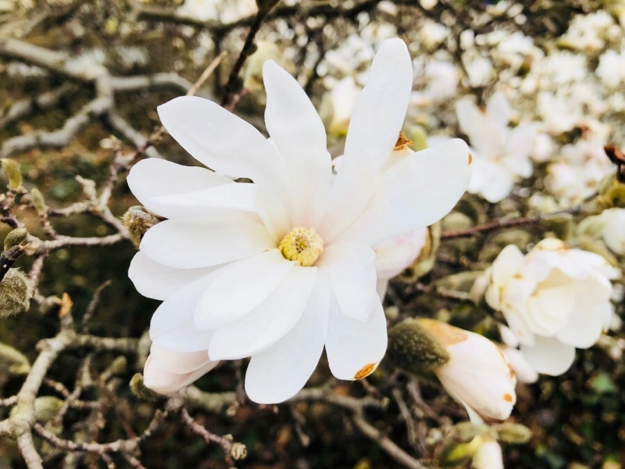 IMG_3816.jpg?type=w966