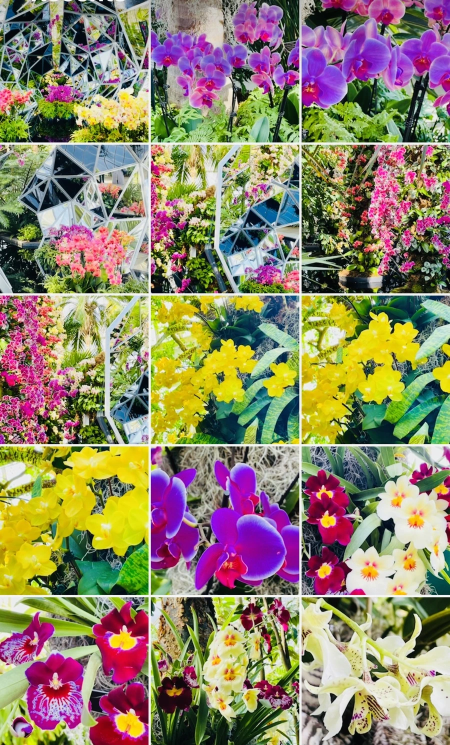 IMG_4697.jpg?type=w966