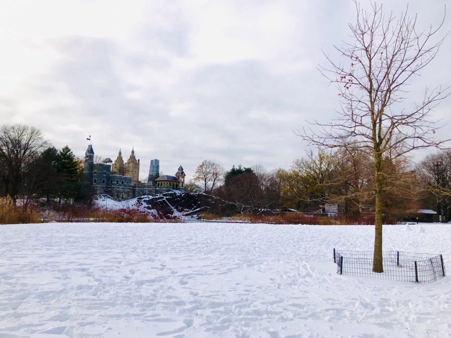 IMG_7298.jpg?type=w966