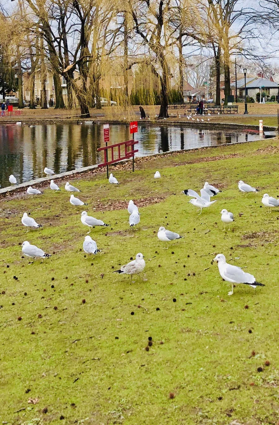 IMG_8618.jpg?type=w966