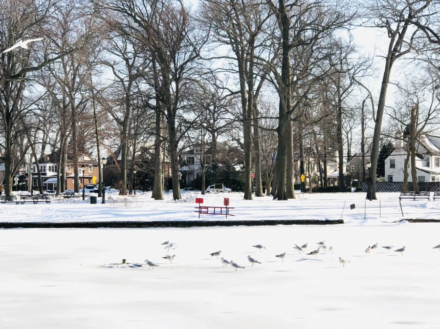 IMG_0312.jpg?type=w966