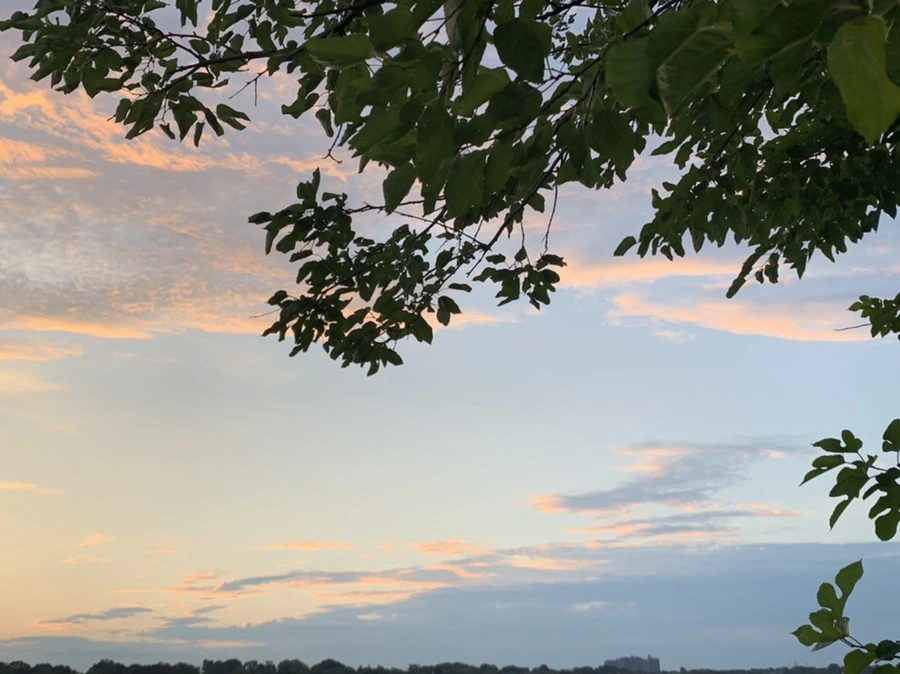 IMG_1205.jpg?type=w966