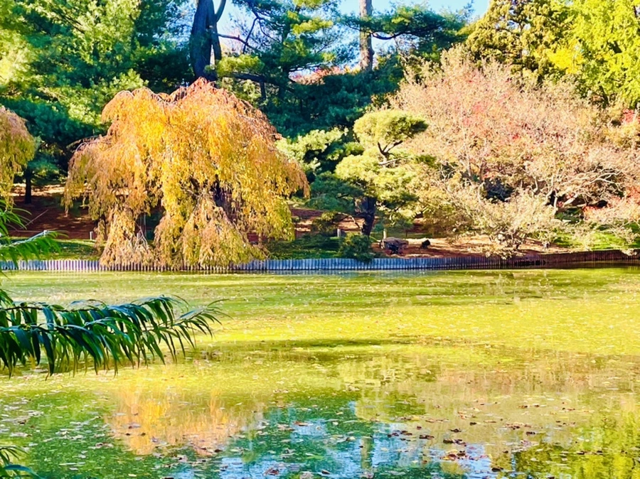 IMG_2037.jpg?type=w966