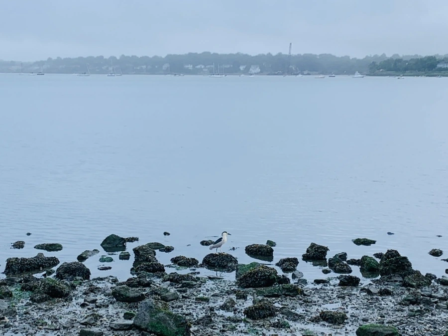 IMG_4784.jpg?type=w966