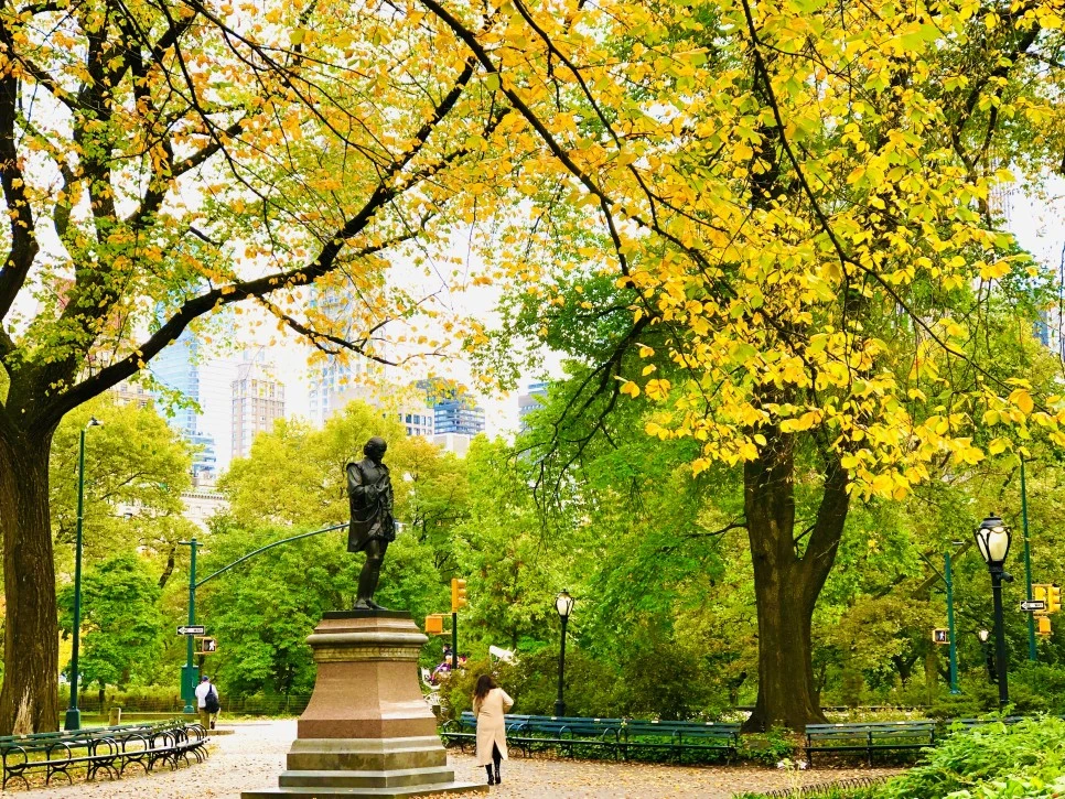 IMG_3099.jpg?type=w966