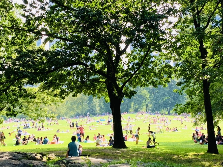 IMG_0623.jpg?type=w966