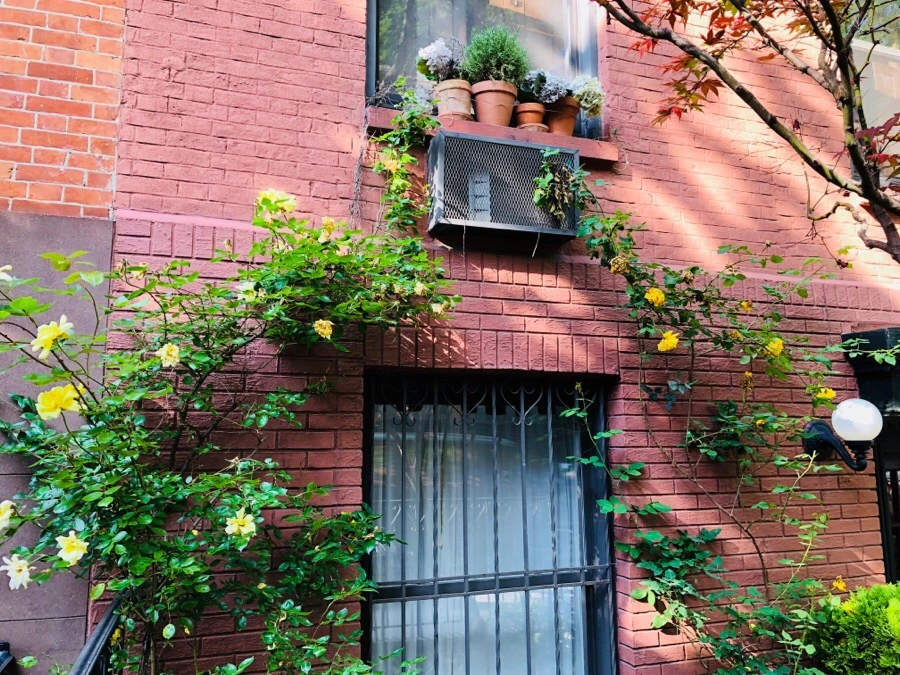 IMG_6261.jpg?type=w966