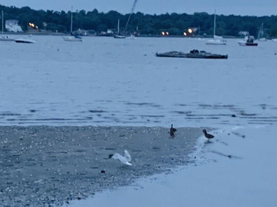 IMG_6725.jpg?type=w966