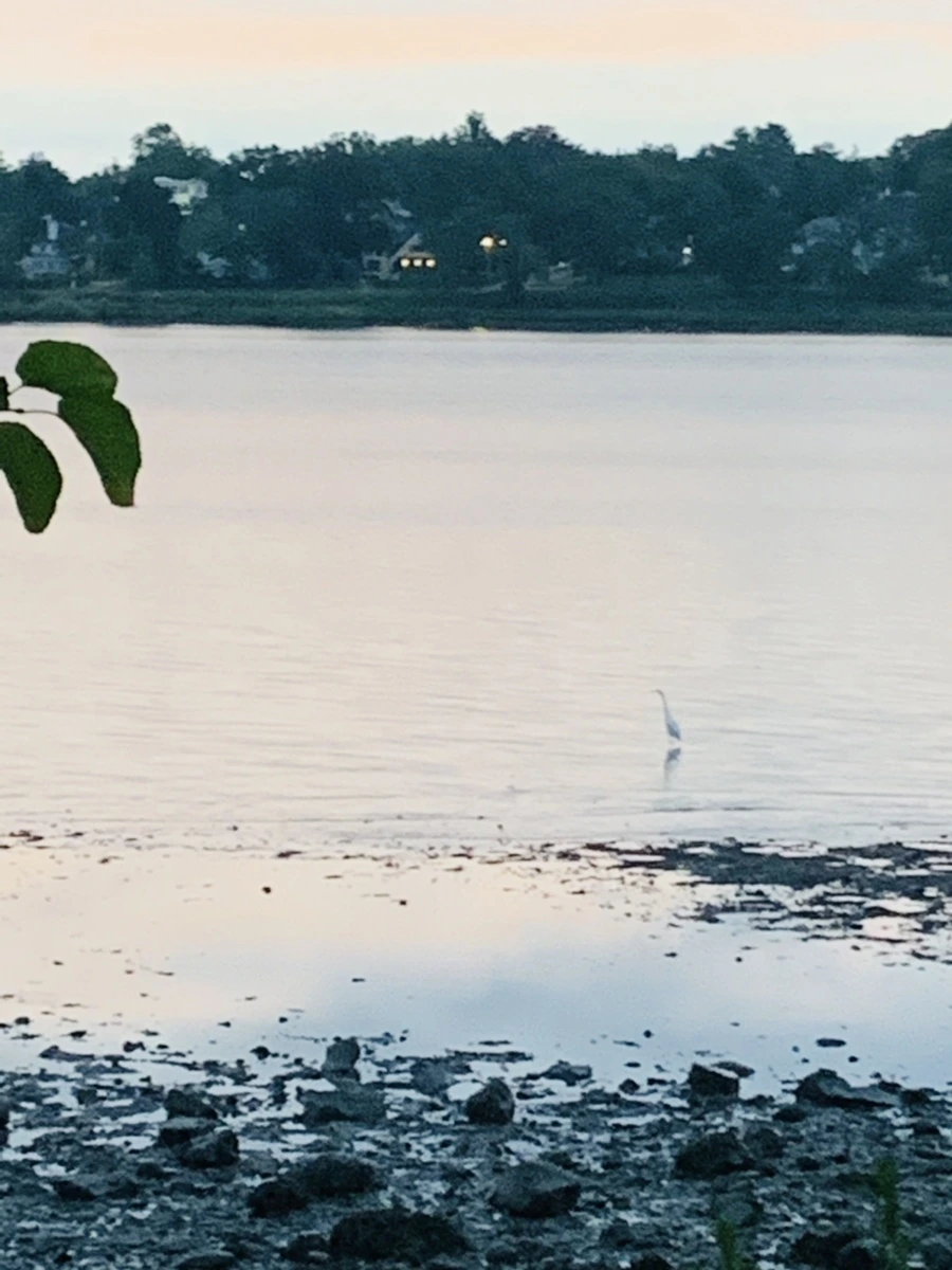 IMG_9557.jpg?type=w966