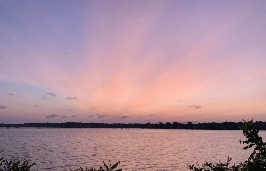 IMG_5350.jpg?type=w966