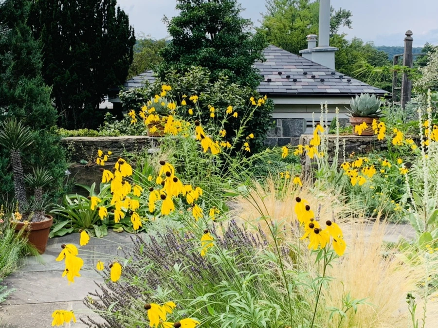 IMG_9469.jpg?type=w966