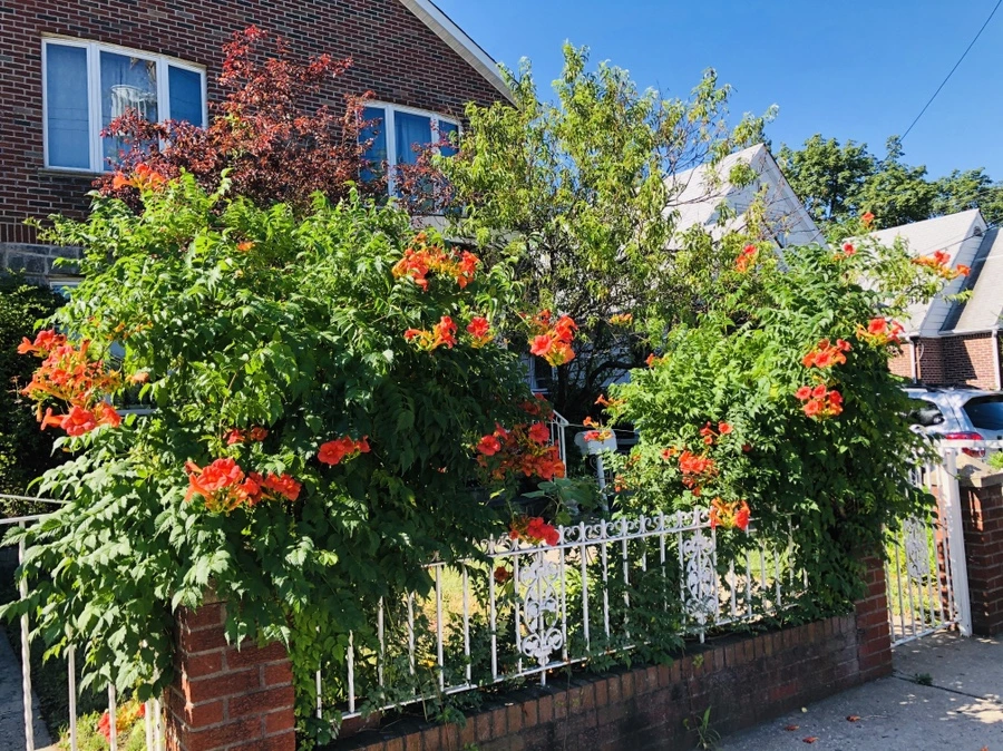 IMG_2367.jpg?type=w966