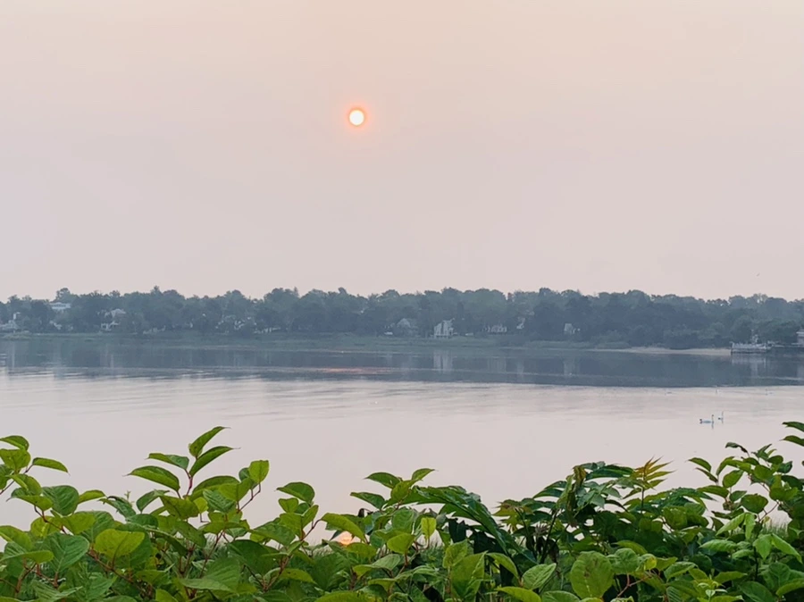 IMG_8362.jpg?type=w966