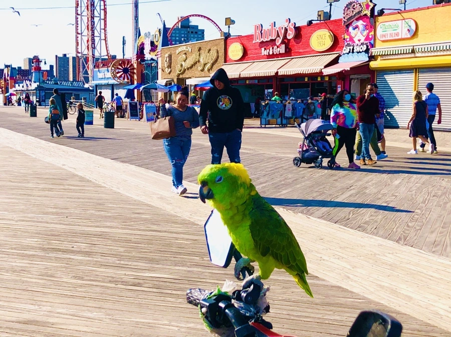 IMG_1360.jpg?type=w966