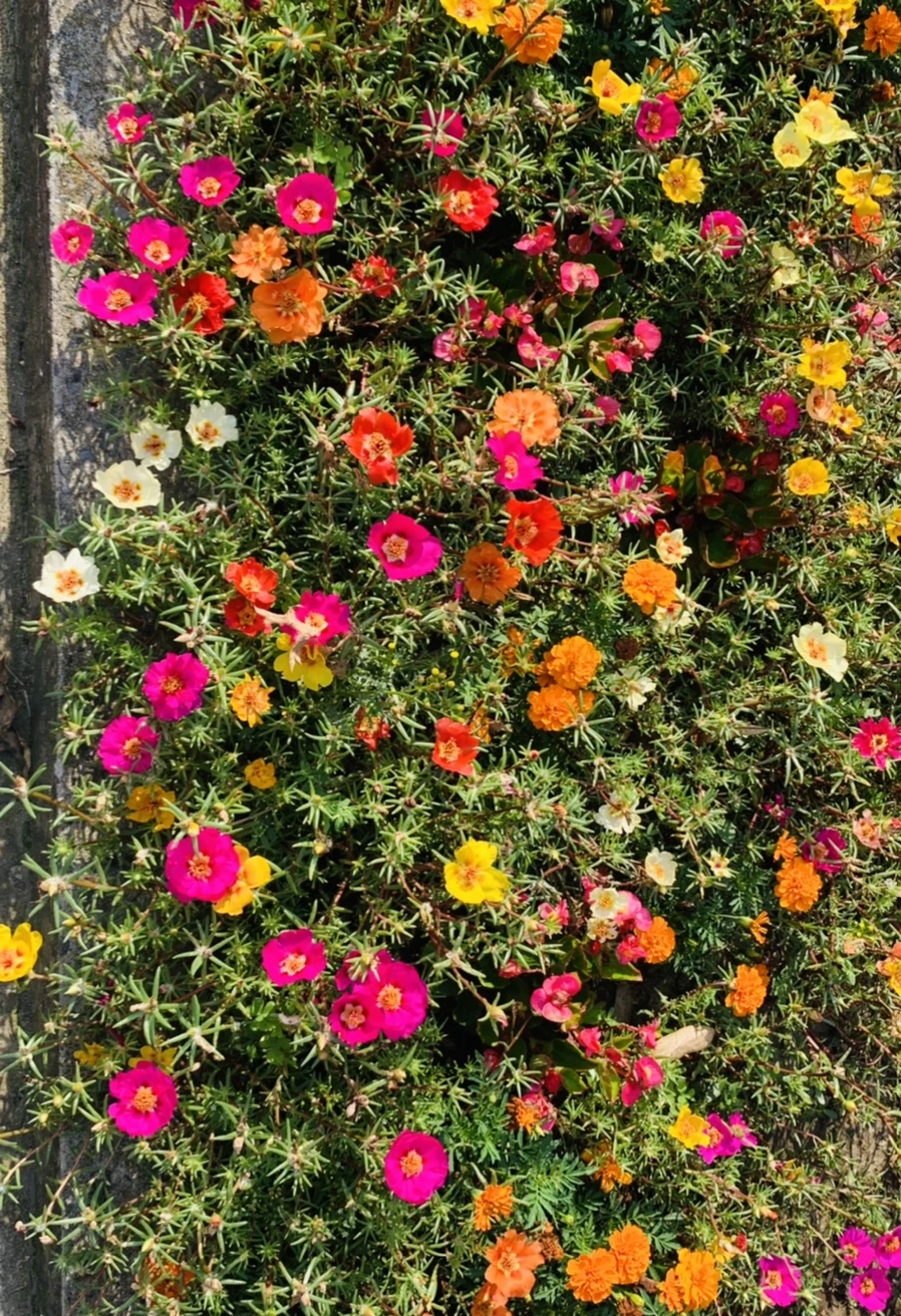 IMG_6638.jpg?type=w966