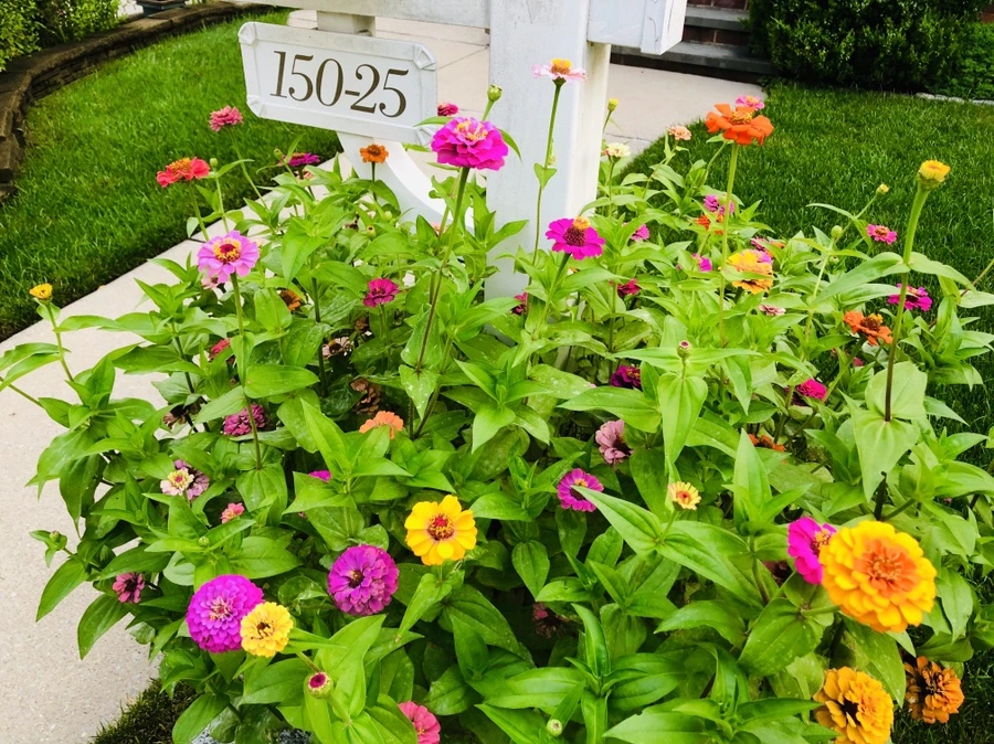 IMG_3647.jpg?type=w966