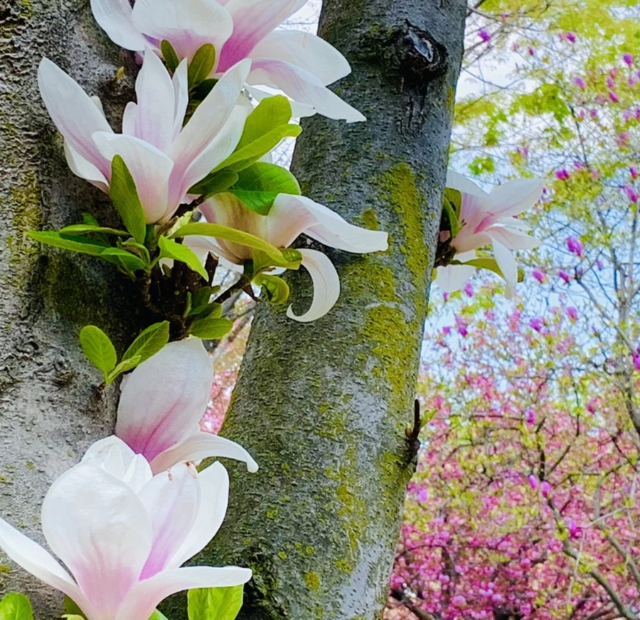 IMG_3902.jpg?type=w966