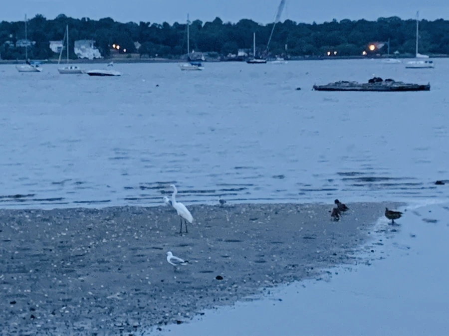 IMG_6733.jpg?type=w966