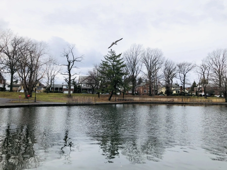 IMG_8652.jpg?type=w966