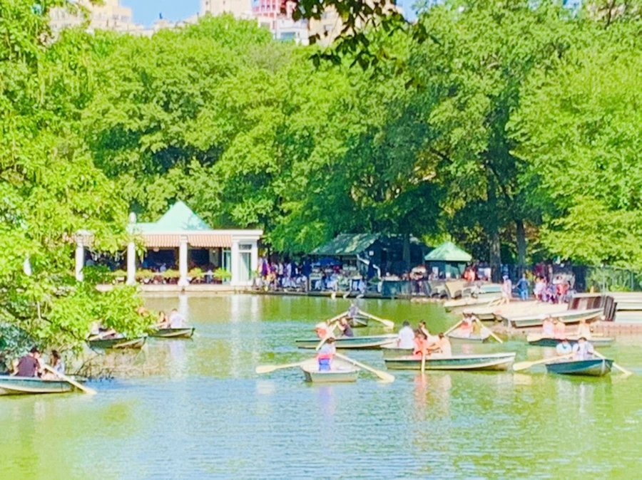 IMG_4495.jpg?type=w966