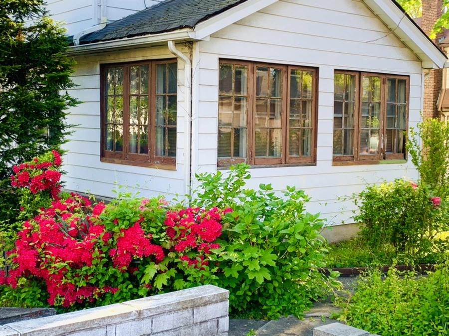 IMG_0596.jpg?type=w966