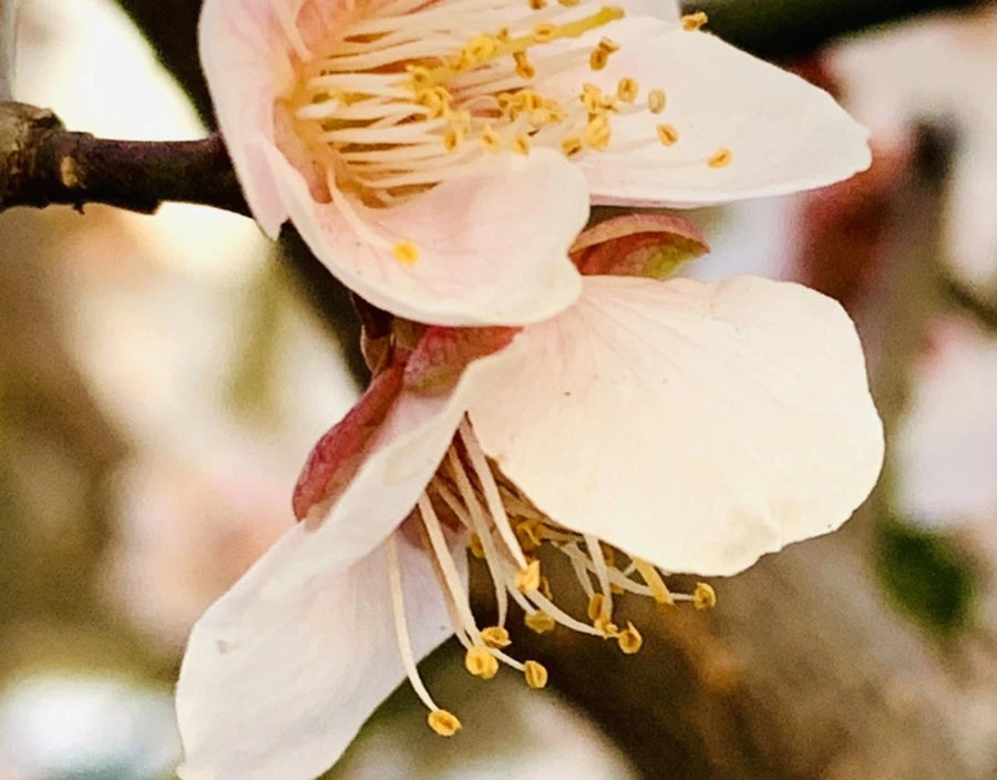 IMG_2863.jpg?type=w966