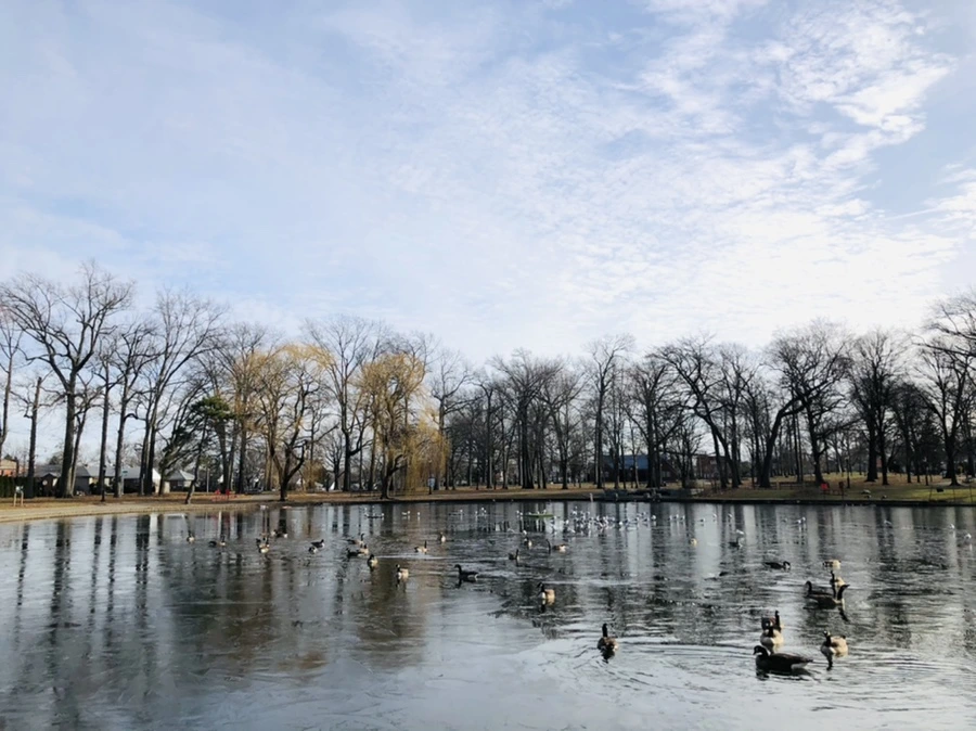 IMG_8466.jpg?type=w966