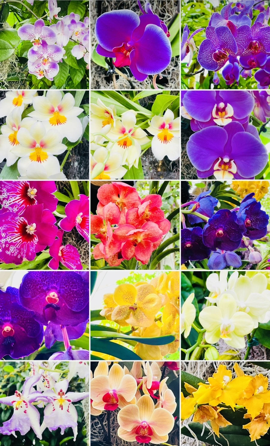 IMG_1430.jpg?type=w966