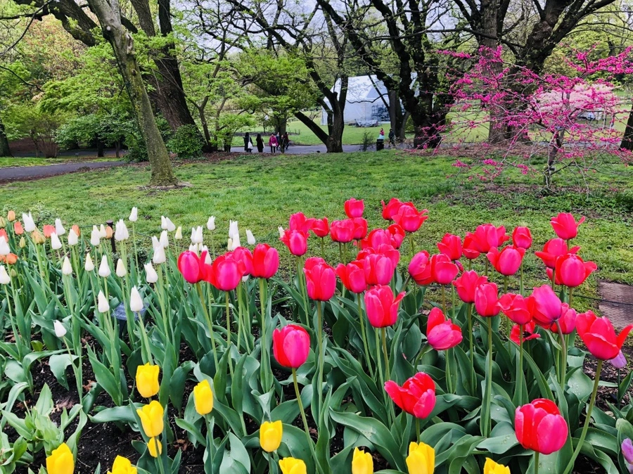 IMG_3728.jpg?type=w966