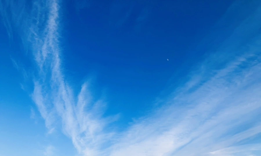 IMG_4820.jpg?type=w966